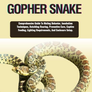 Where Do Gopher Snakes Live: Natural Range Guide