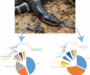 Are Snakes Immune to Their Own Venom? Understanding the Facts