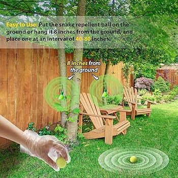 Best Snake Repellent: Top Tips to Keep Snakes Away