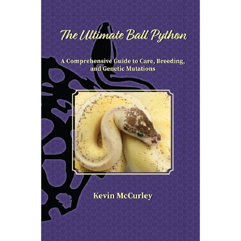 Breeding Ball Pythons: A Comprehensive Guide for Beginners
