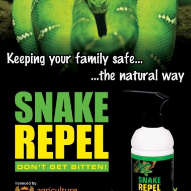 Do Snakes Drink Water? Understanding Their Hydration Needs