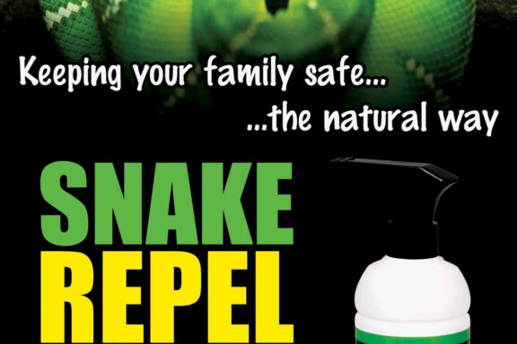 Do Snakes Drink Water? Understanding Their Hydration Needs