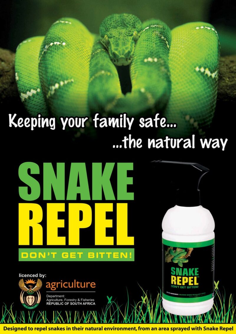 Do Snakes Drink Water? Understanding Their Hydration Needs
