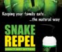 Do Snakes Drink Water? Understanding Their Hydration Needs
