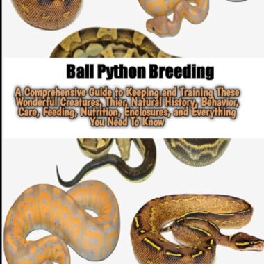 How to Breed Ball Pythons: A Comprehensive Guide