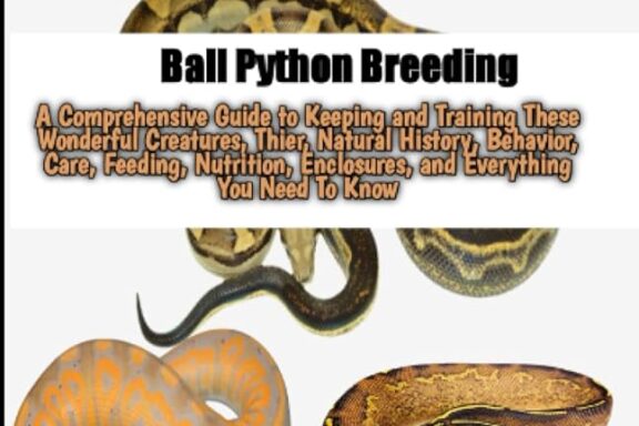 How to Breed Ball Pythons: A Comprehensive Guide