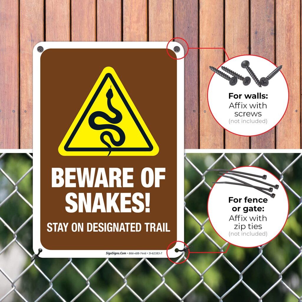 How Big Do Corn Snakes Get