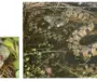 Water Snakes in Texas: Identification and Habitat Insights