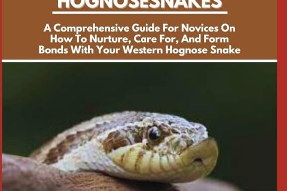 Western Hognose Snake Tank Size: Perfect Setup Guide